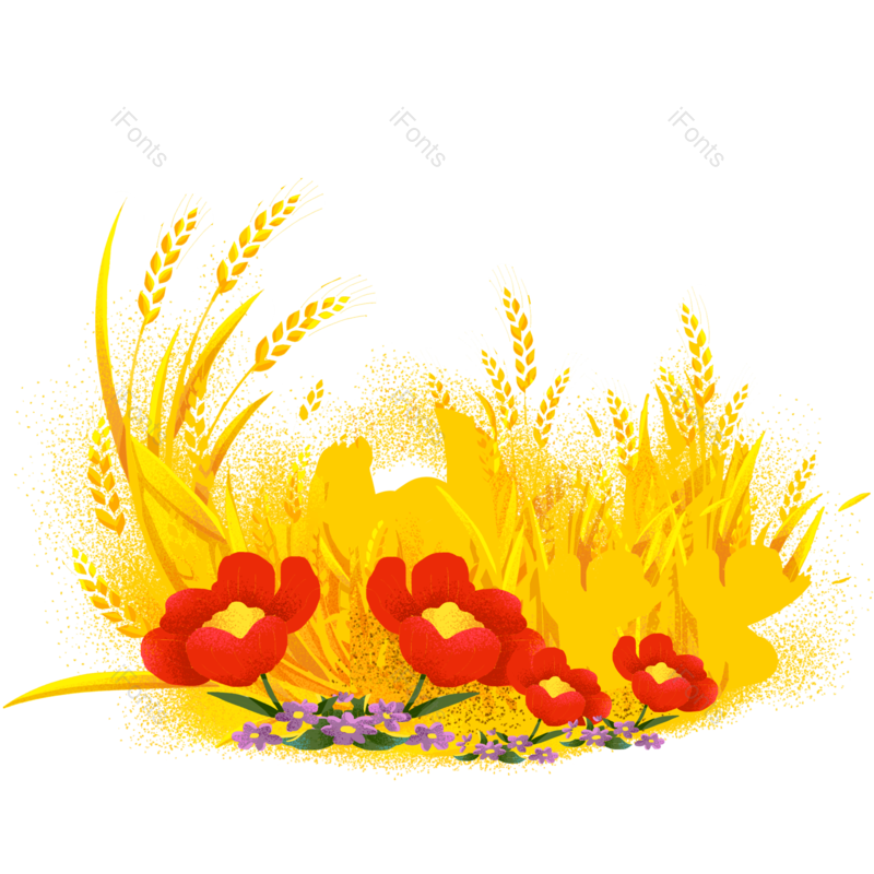 芒种图片,秋天元素,麦子PNG,插画免抠素材